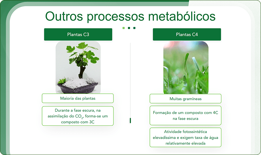 image (1)