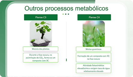 image (10)