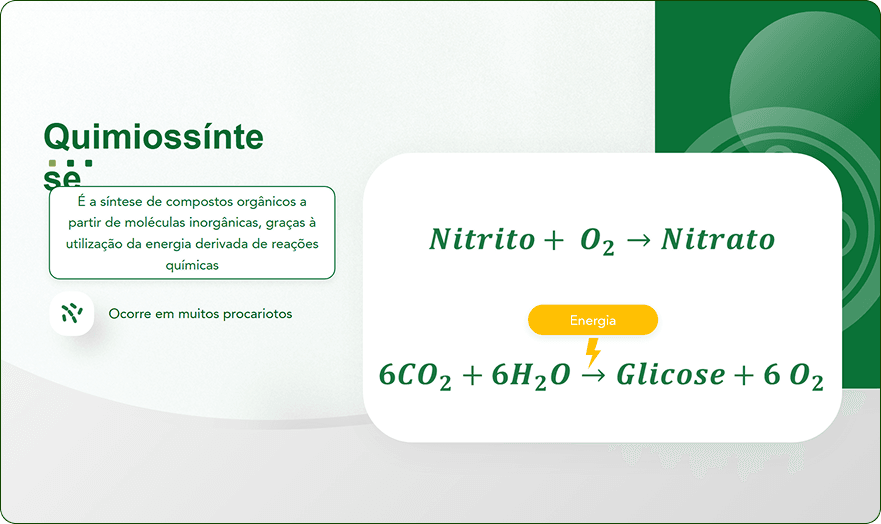 image (5)