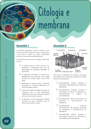 image (6)