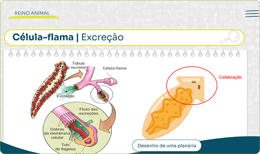 image (8)